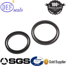 High Quality Spring Energized PTFE Lip Seals Design